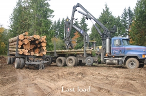 last load of logs